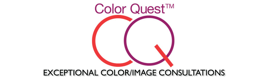 Color Quest Banner